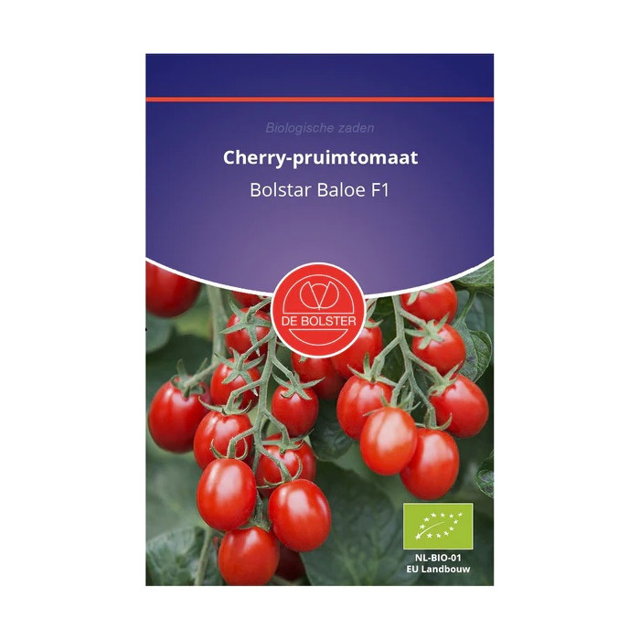 Paradajs-Cherry-pruimtomaat_Bolstar_Baloe_F1-BS1941