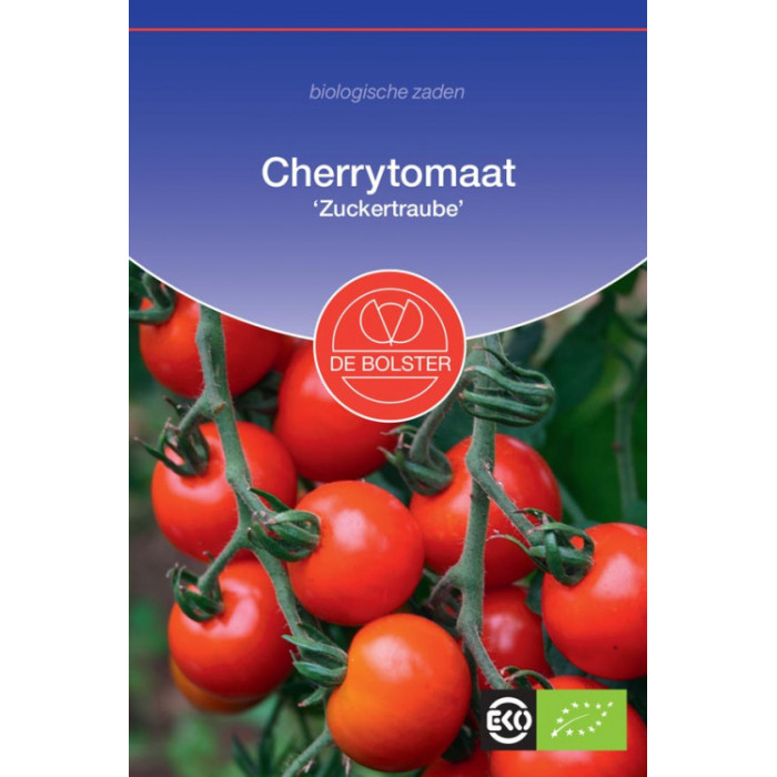 Paradajs-Chery-Cherrytomaat 'Zuckertraube'-BS1970