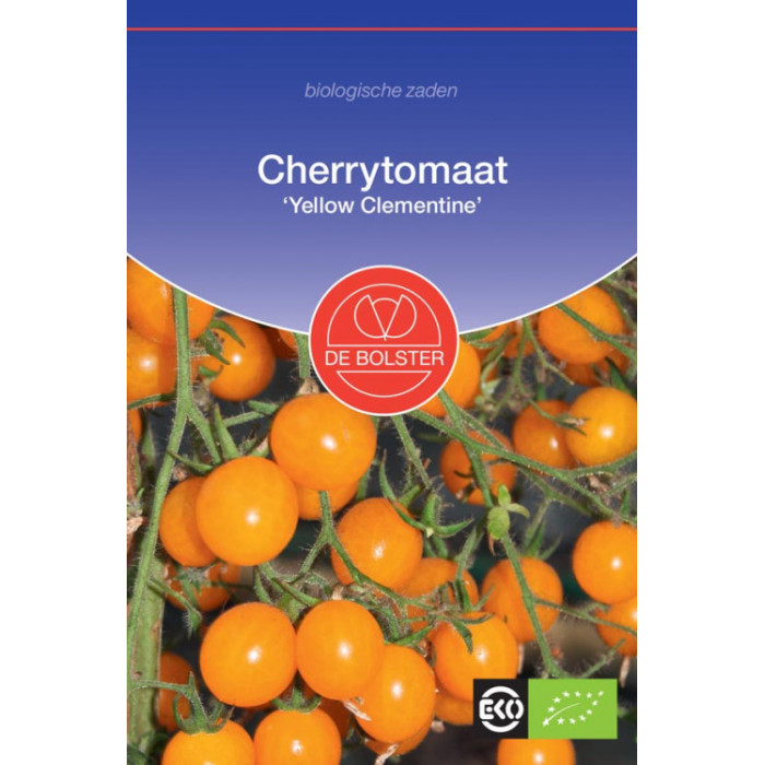 Paradajs-Chery-zuti-Cherrytomaat 'Yellow Clementine'-BS1972