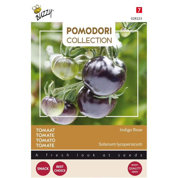 Paradajs-crni--Buzzy® Pomodori, Tomaat Indigo rose (zwart)-BZ028223