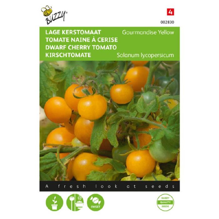 Paradajs-Chery-zuti-Buzzy® Tomaten Gourmandise (gele cherry patio)-BZ002830