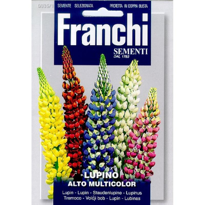Lupine-Fr Lupine, Lupino Alto Multicolor 335-1-FR880754