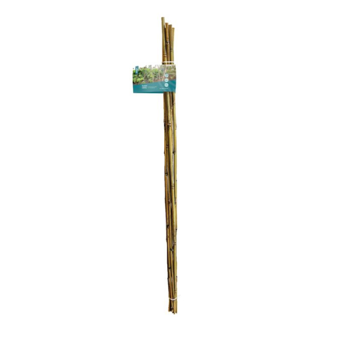 Tonkin stapovi-SOGO Tonkin sticks 60cm 8/10 10 pcs-SO887616