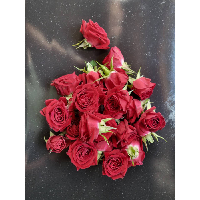 Ruza-jestiva-cvijet-20 komada-MG855243
