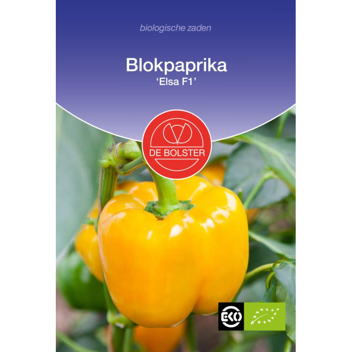 Paprika-zuta-Blokpaprika-Elsa F1-Yelow-BS1622