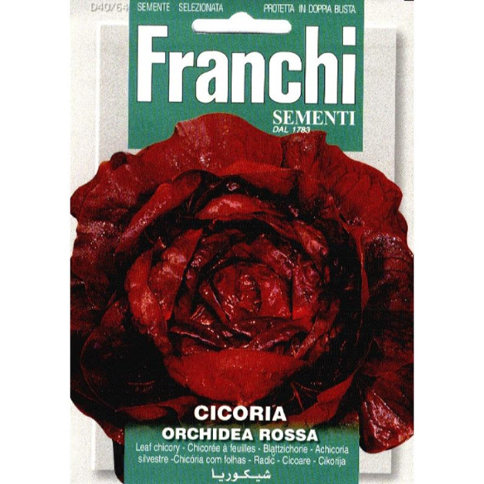 Fr Roodlof, Cicoria Orchidea Rossa-FR880628