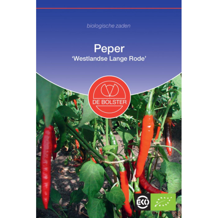 Hot pepper 'Westlandse Lange Rode'-BS1640