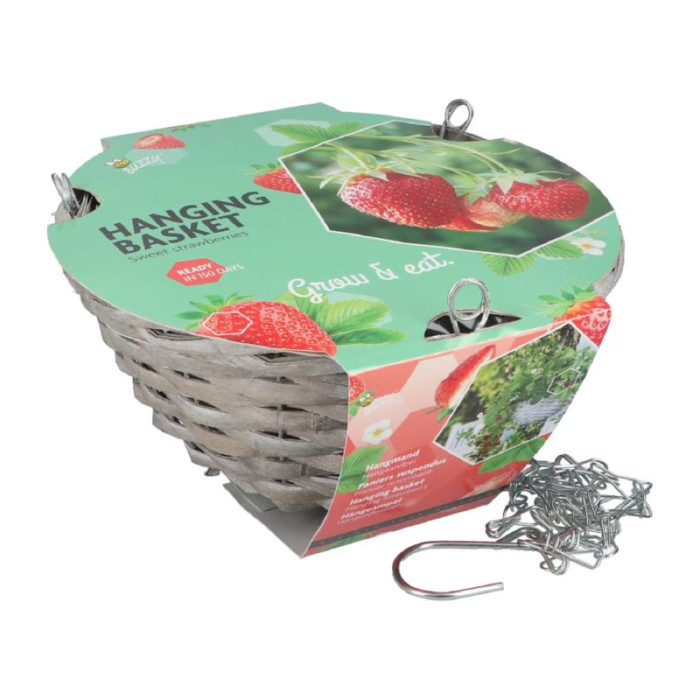 Buzzy® Hanging Basket Strawberry-BZ085415