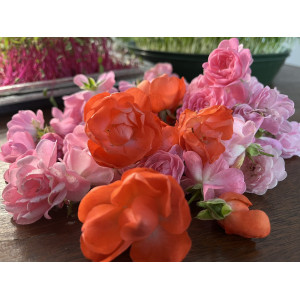 Mini organic roses-MG24852