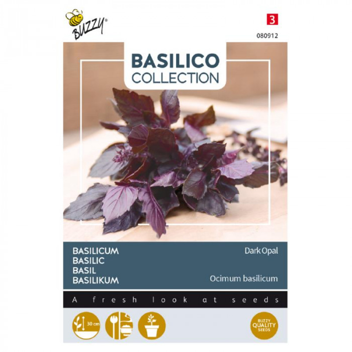 Basil-dark red-Basilicum Dark Opal-BZ080912