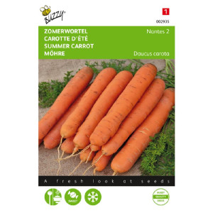 Buzzy® Summer carrot Nantes...