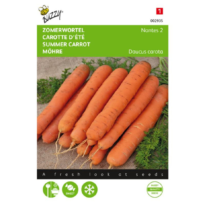 Buzzy® Summer carrot Nantes 2, half-long-BZ002935