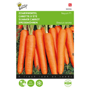 Buzzy® Summer Carrot Napoli...