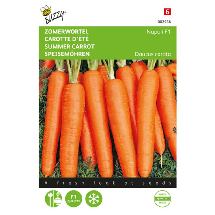 Buzzy® Summer Carrot Napoli F1-BZ002936