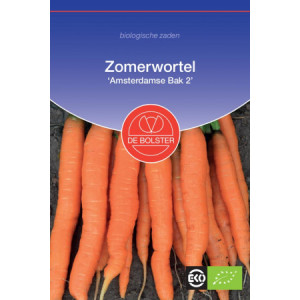 Carrot 'Amsterdam 2'-BS2055