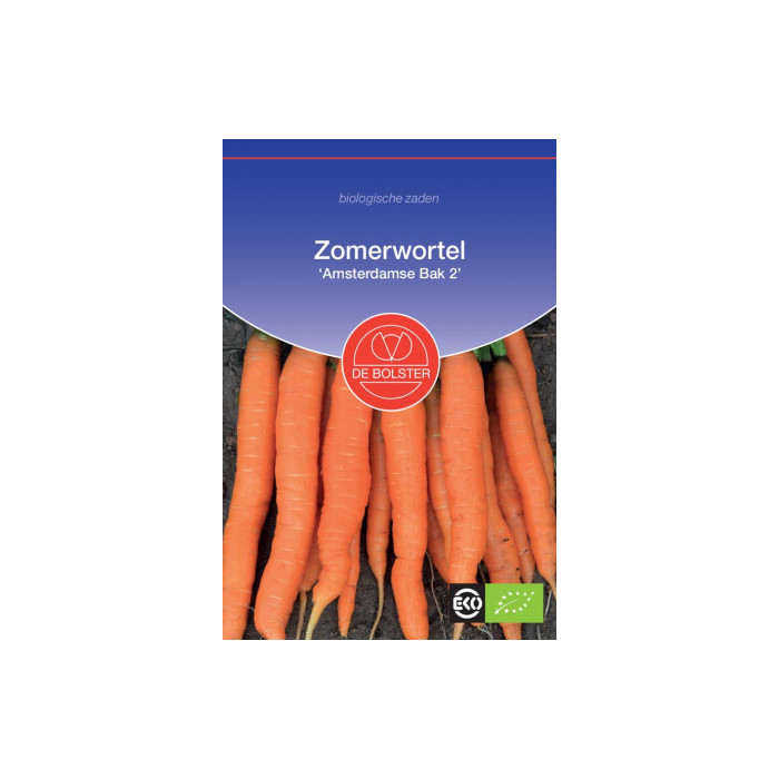 Carrot 'Amsterdam 2'-BS2055