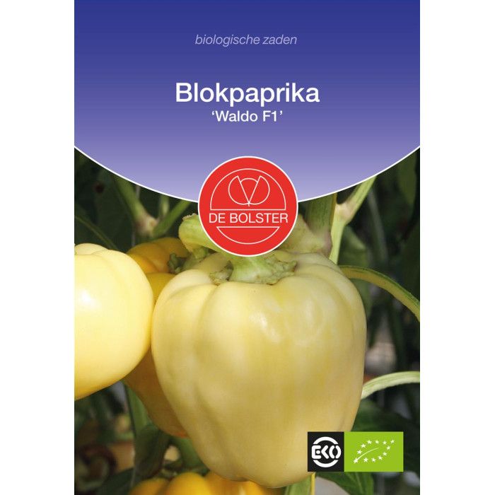 Paprika 'Waldo F1'-Bell pepper 'Waldo F1'-BS1618