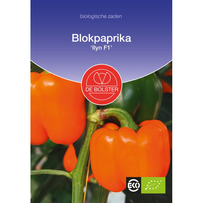 Paprika 'Ilyn F1'-Bell pepper 'Ilyn F1'-BS1619