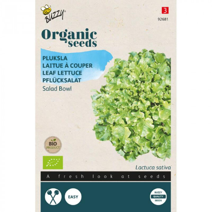 Salata-lopta-zelena-Organic Pluksla Salad Bowl, groen (BIO)-BO92681