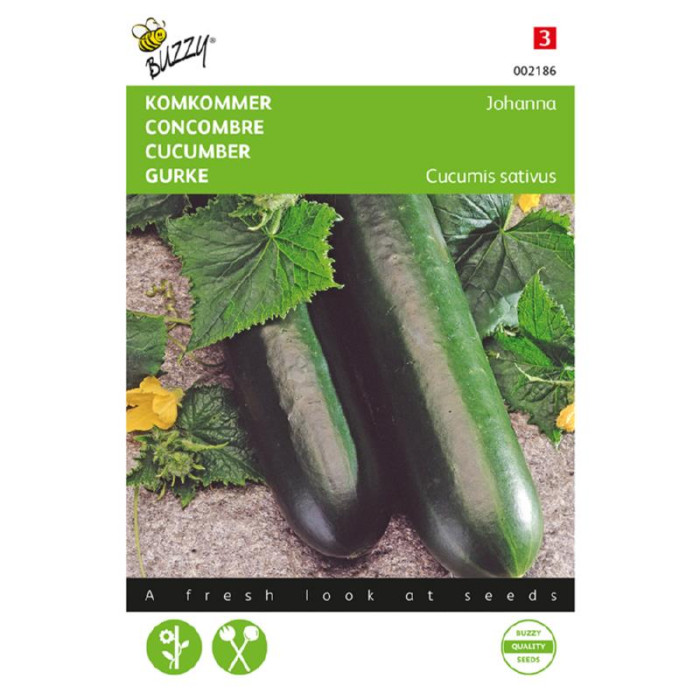 Buzzy® Cucumber Johanna-BZ002186