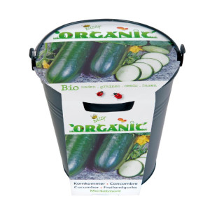 Buzzy® Zinc Bucket Cucumber...