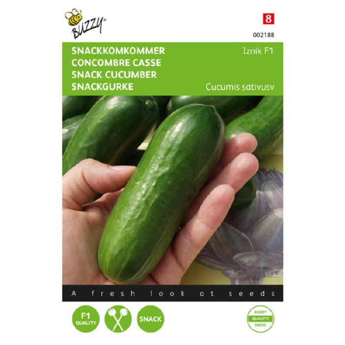 Buzzy® Snack cucumber Iznik F1-BZ002188