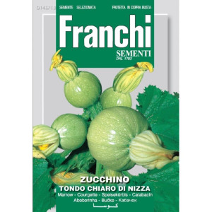 Fr Zucchino Tondo Chiaro Di...