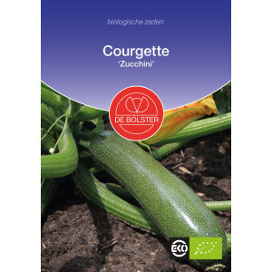 Courgette 'Zucchini'-BS1350