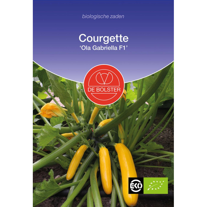 Courgette 'Ola Gabriella F1'-BS1355