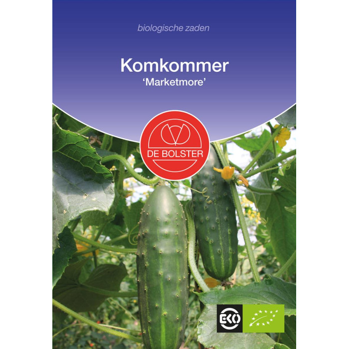 Krastavac 'Marketmore'-Cucumber 'Marketmore'-BS1435