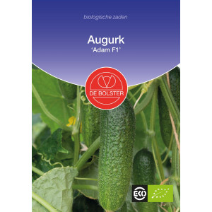 Cucumber 'Adam F1'-BS1031