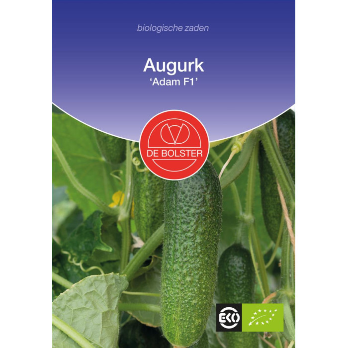 Cucumber 'Adam F1'-BS1031