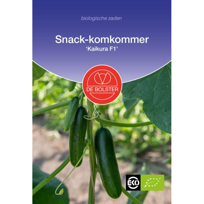 Snack krastavac 'Kaikura F1'-Snack cucumber 'Kaikura F1'-BS1438