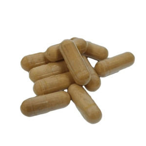 Cordyceps Mushroom Capsules...