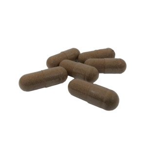 Reishi Capsules Organic...