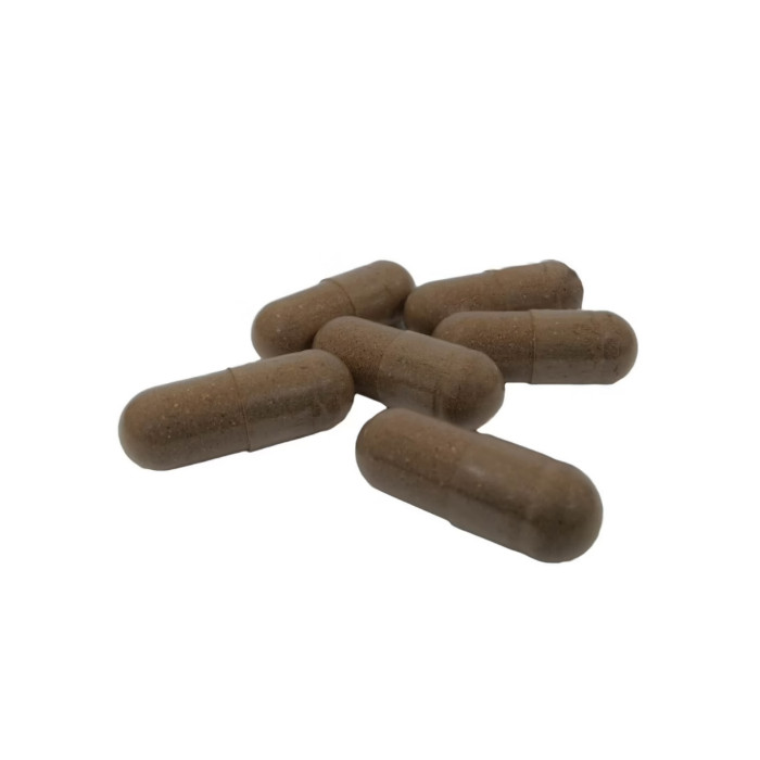 Reishi Capsules Organic 450mg-VG46170