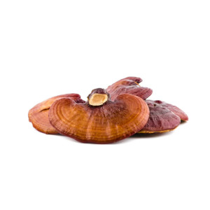 Reishi Capsules Organic...