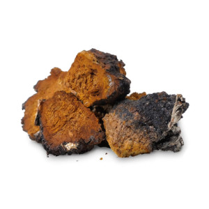 Chaga Capsules Organic...