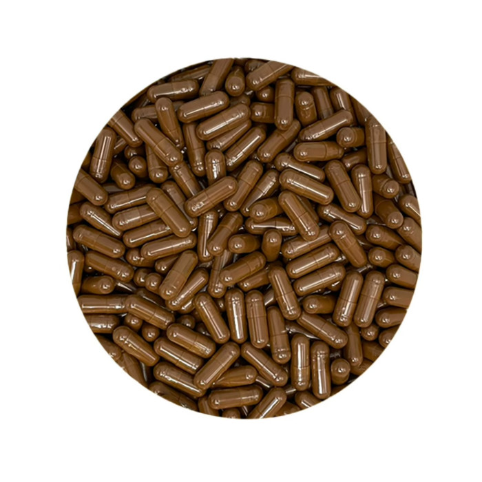 Chaga Capsules Organic 500mg-VG46180