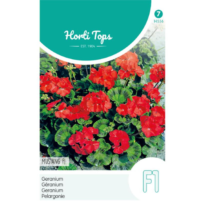 Pelargonium Zonale F1 Cherry Red-Horti Tops® Pelargonium Zonale F1 Cherry Red-HT14556