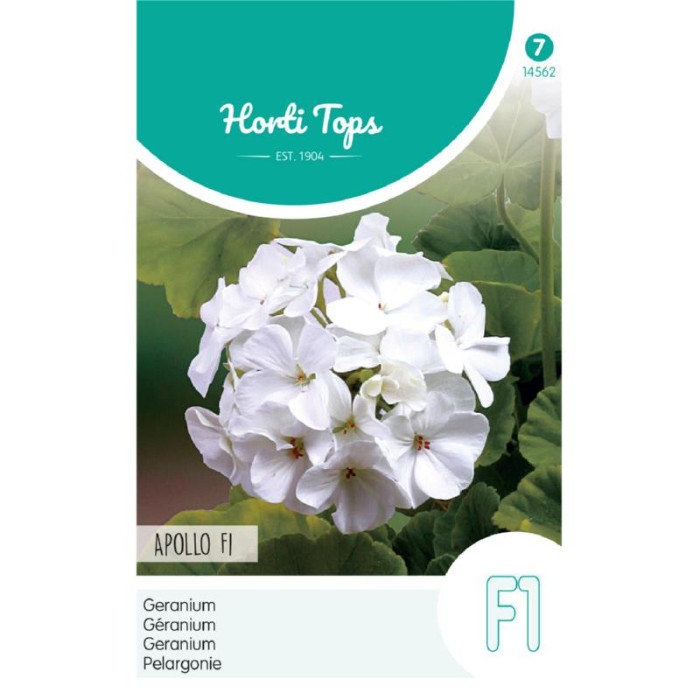 Horti Tops® Pelargonium Apollo F1 Hybrid White-HT14562