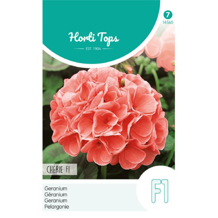 Pelargonium Chérie F1 Salmon Pink-Horti Tops® Pelargonium Chérie F1 Salmon Pink-HT14560