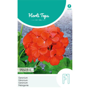 Horti Tops® Pelargonium...