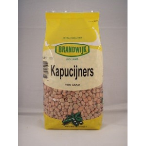 Capuchins-Kapucijners-MG251073