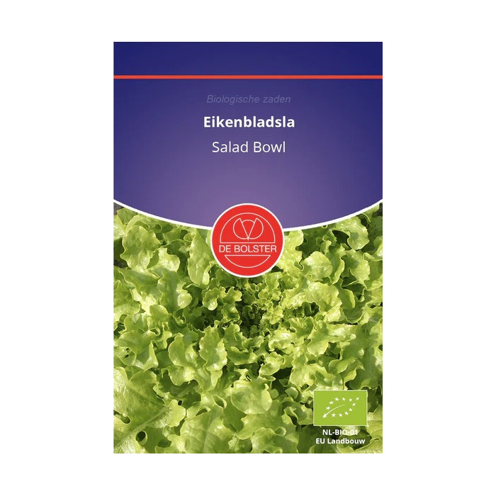 Salata-Hrastov list-zeleni-Eikenbladsla 'Salad Bowl'-BS1833