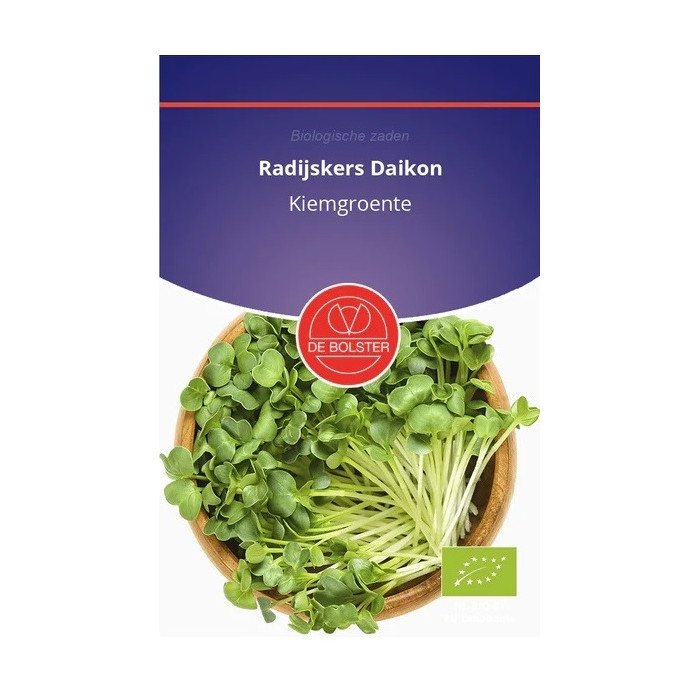 Rotkvica-Bijeli-Radijskers 'Daikon' - Kiemgroente Raphanus sativus-BS9040
