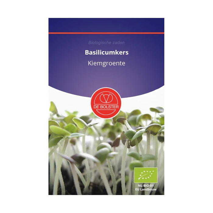 Bosiljak-Basilicumkers - KiemgroenteOcimum basilicum-BS9090