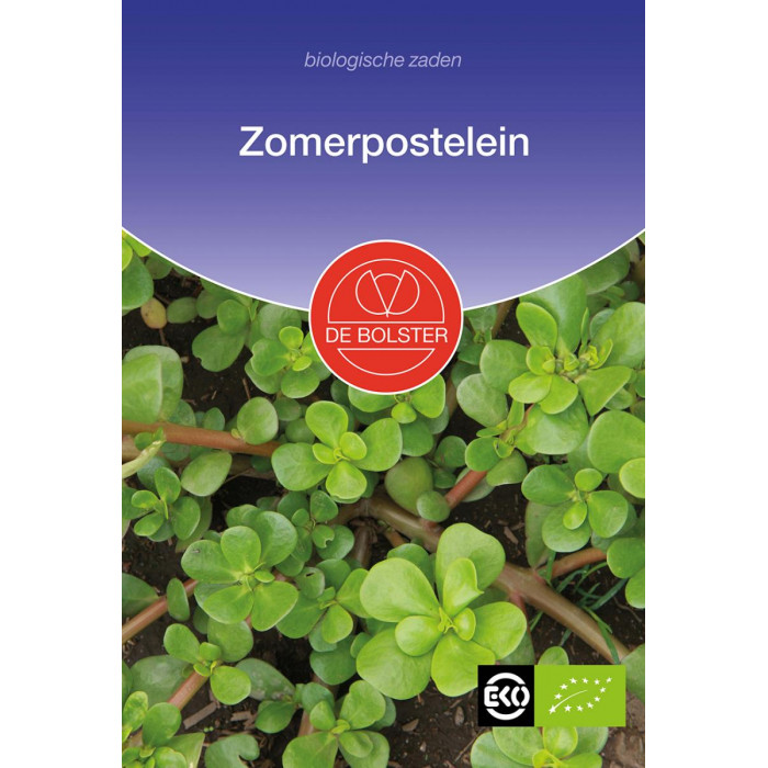 Zomerpostelein Portulaca oleracea-BS2040