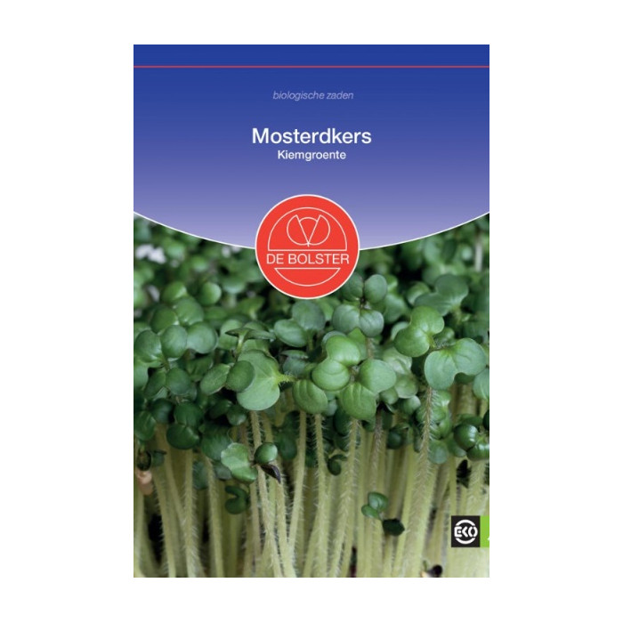 Senf-Mosterdkers - Kiemgroente Sinapis alba-BS9050