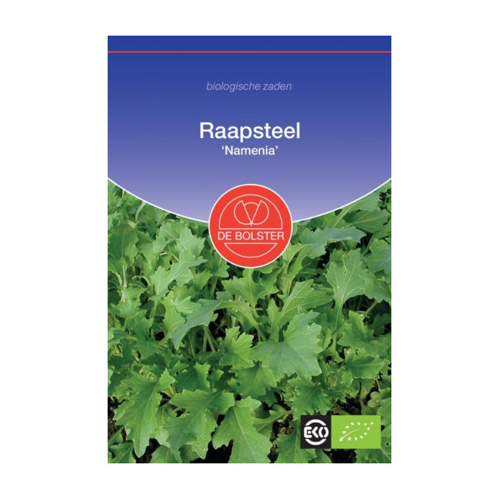 Repa-Raapsteel - Kiemgroente Brassica rapa-BS9038